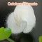 C2H2CaO4 Feed Additives Calcium Formate CAS 544-17-2 Food Grade